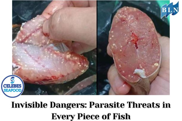 Invisible Dangers: Parasite Threats in Every Piece of Fish